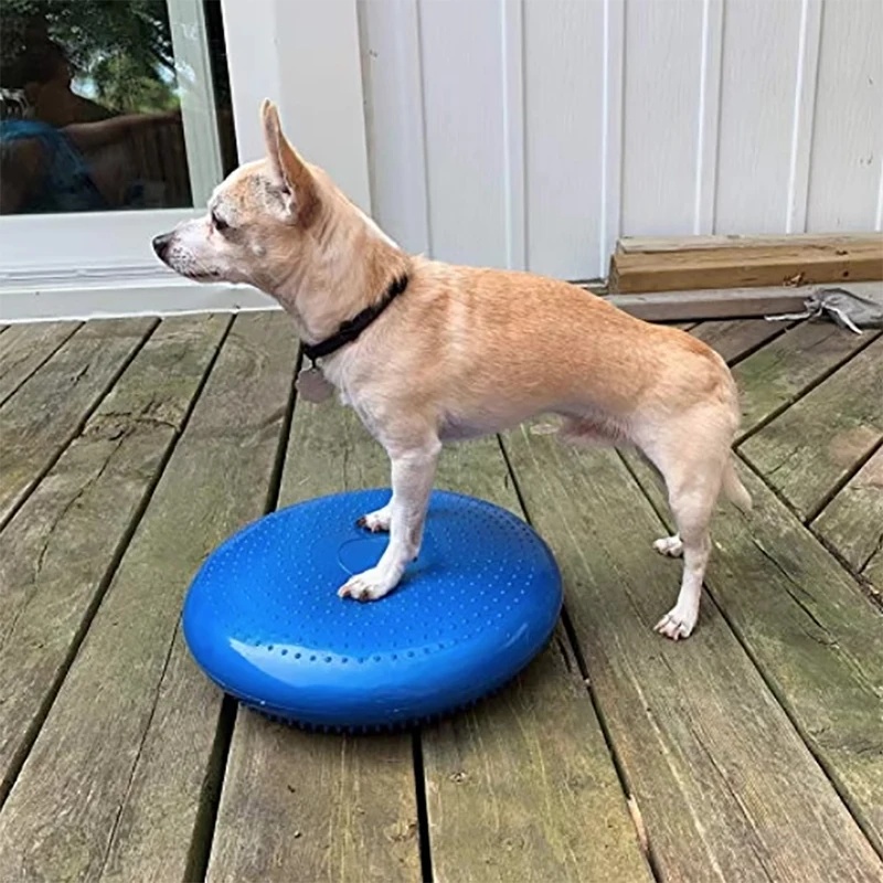 Balance Cushion Disc - Балансировочный диск-подушка для собак: тренажер для