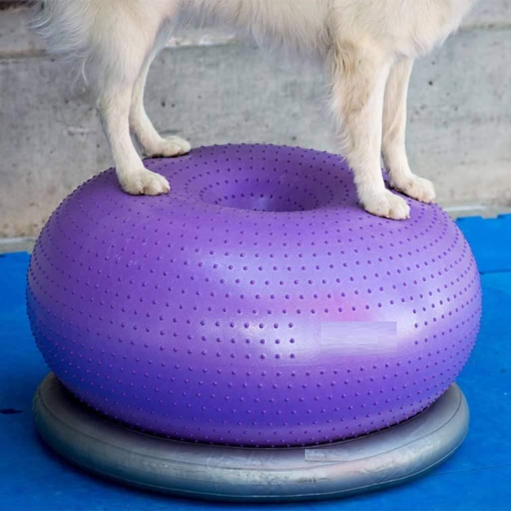 Balance Cushion Disc - Балансировочная подушка-диск для собак: платформа для