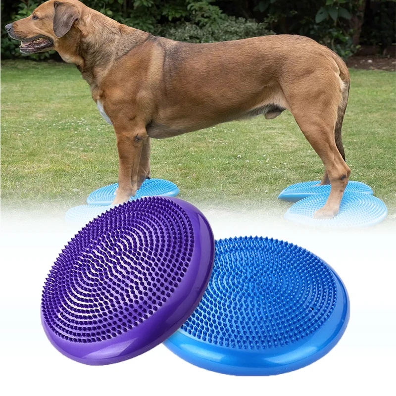 Балансировочный диск-подушка д – обзор и цена Balance Cushion Disc