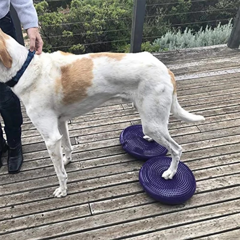Балансировочный диск-подушка д – обзор и цена Balance Cushion Disc