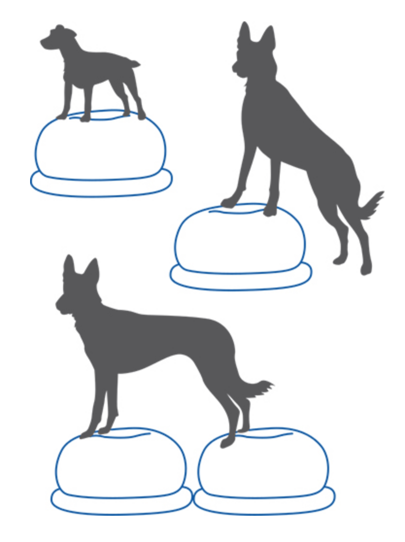 Балансировочная подушка-диск д – обзор и цена Balance Cushion Disc